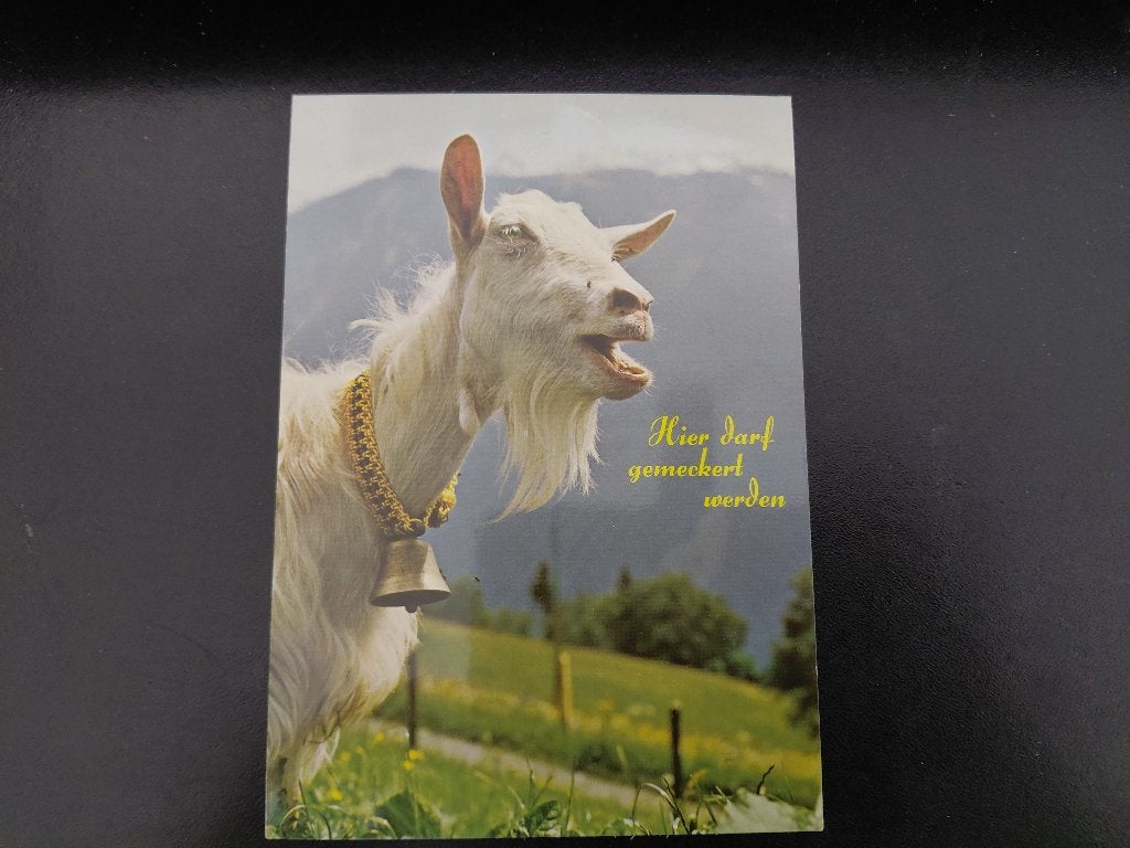 Bok met bel, hier darf gemeckert werden, gelopen, 1981., Verzenden, 1980 tot heden, Gelopen, Overige soorten