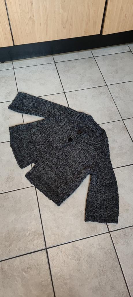 Zwartgrijs passport overslagvest maat 38, Kleding | Dames, Ophalen of Verzenden, Zo goed als nieuw, Maat 38/40 (M)