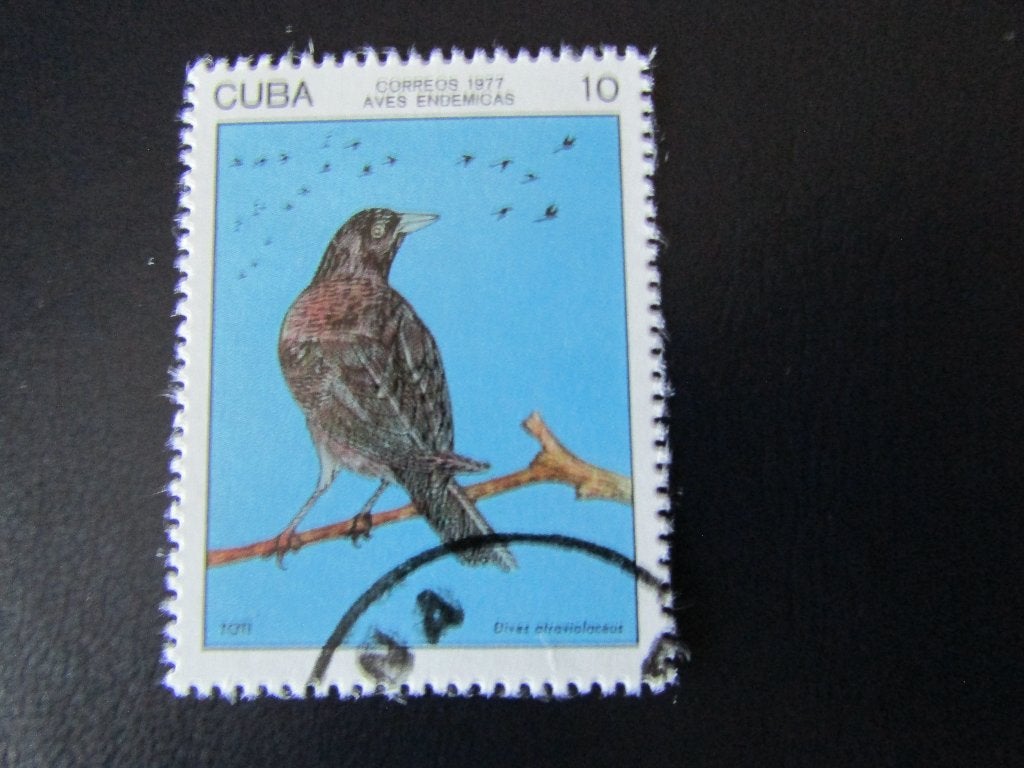 Postzegel Vogel: Cubaanse Merel uit Cuba, Ophalen of Verzenden, Gestempeld, Dier of Natuur