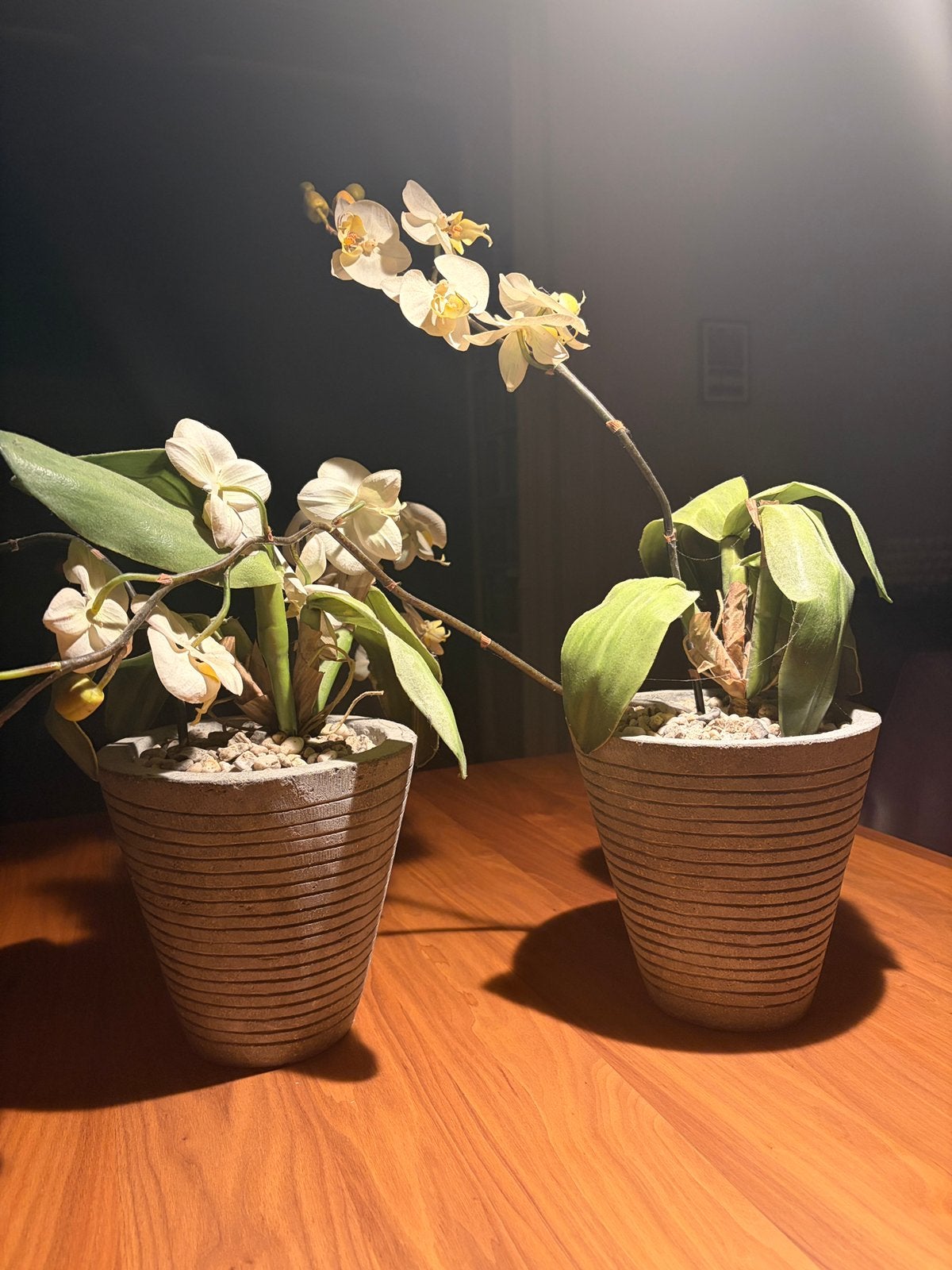 2 bloempotten + kunstoff orchideën, Ophalen, Kunstbloem, Zo goed als nieuw, Kunststof