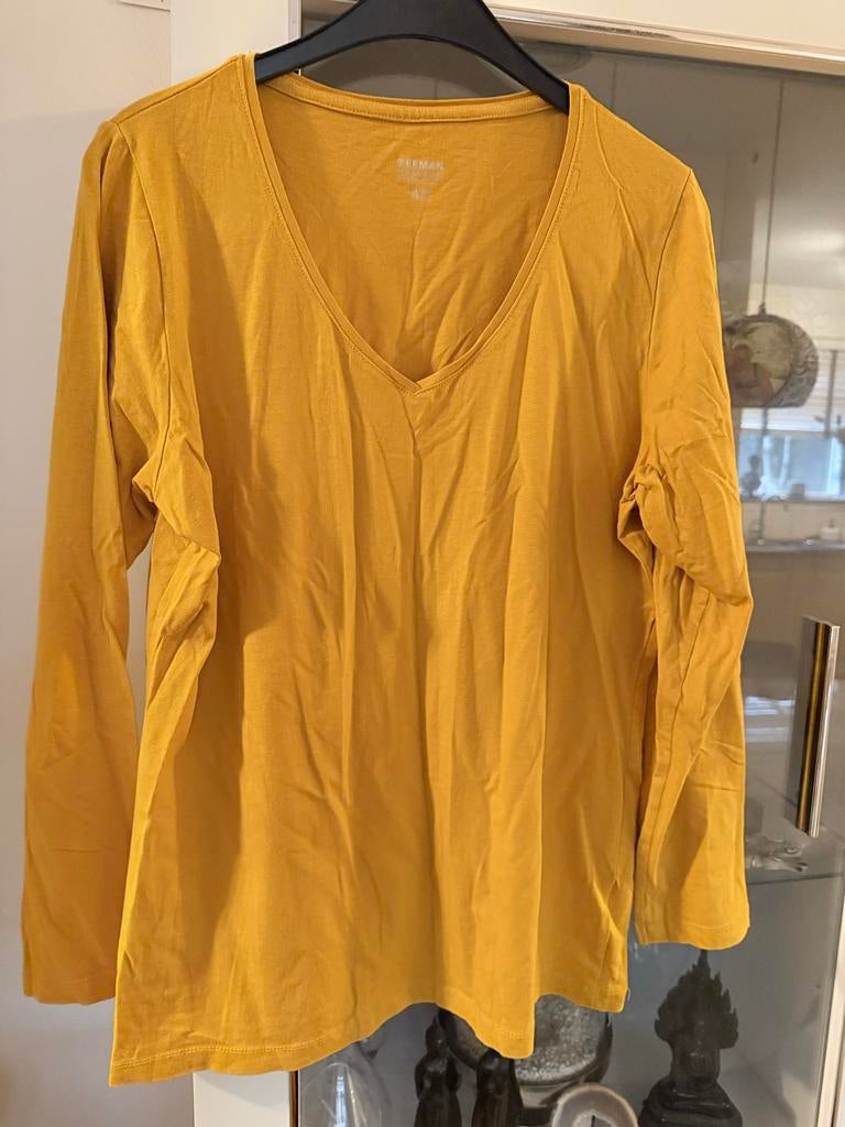 Zeeman shirt met lange mouwen, maat 46, Kleding | Dames, T-shirts, Geel, Maat 46/48 (XL) of groter, Ophalen of Verzenden, Zo goed als nieuw