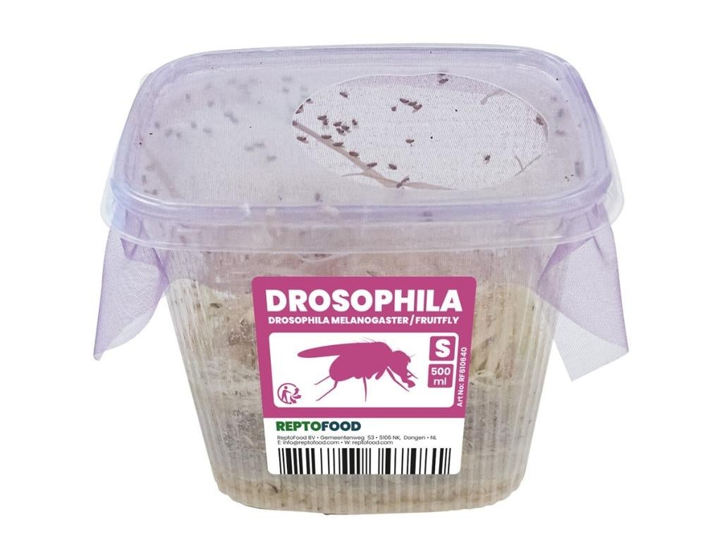 Verse voerinsecten!, Nieuw, Info@aquadistri, Eten en Drinken, Aquadistri