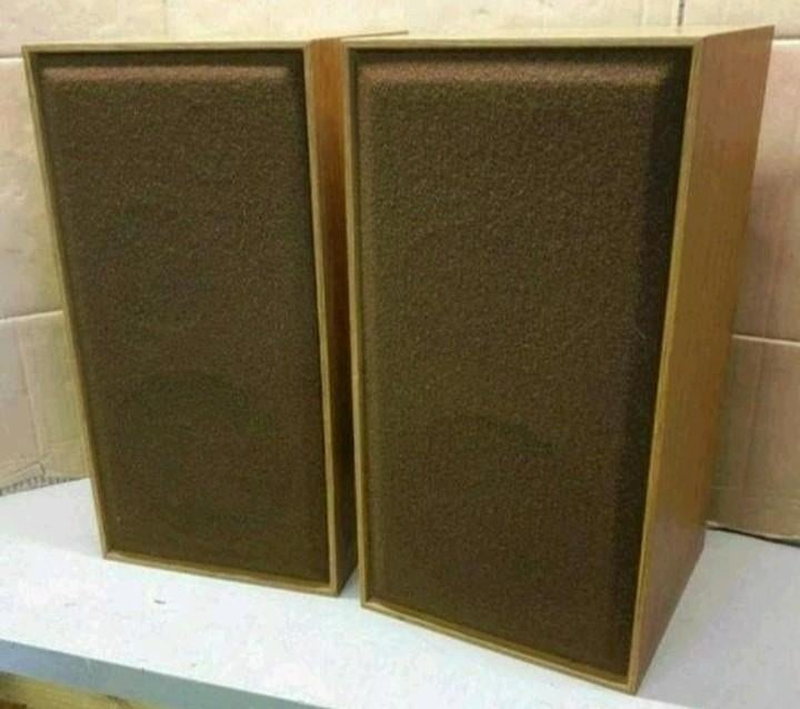 Audiotronic criterion 25 vintage luidsprekers i.z.g.s., Audio, Tv en Foto, Luidsprekers, Ophalen of Verzenden, Front, Rear of Stereo speakers