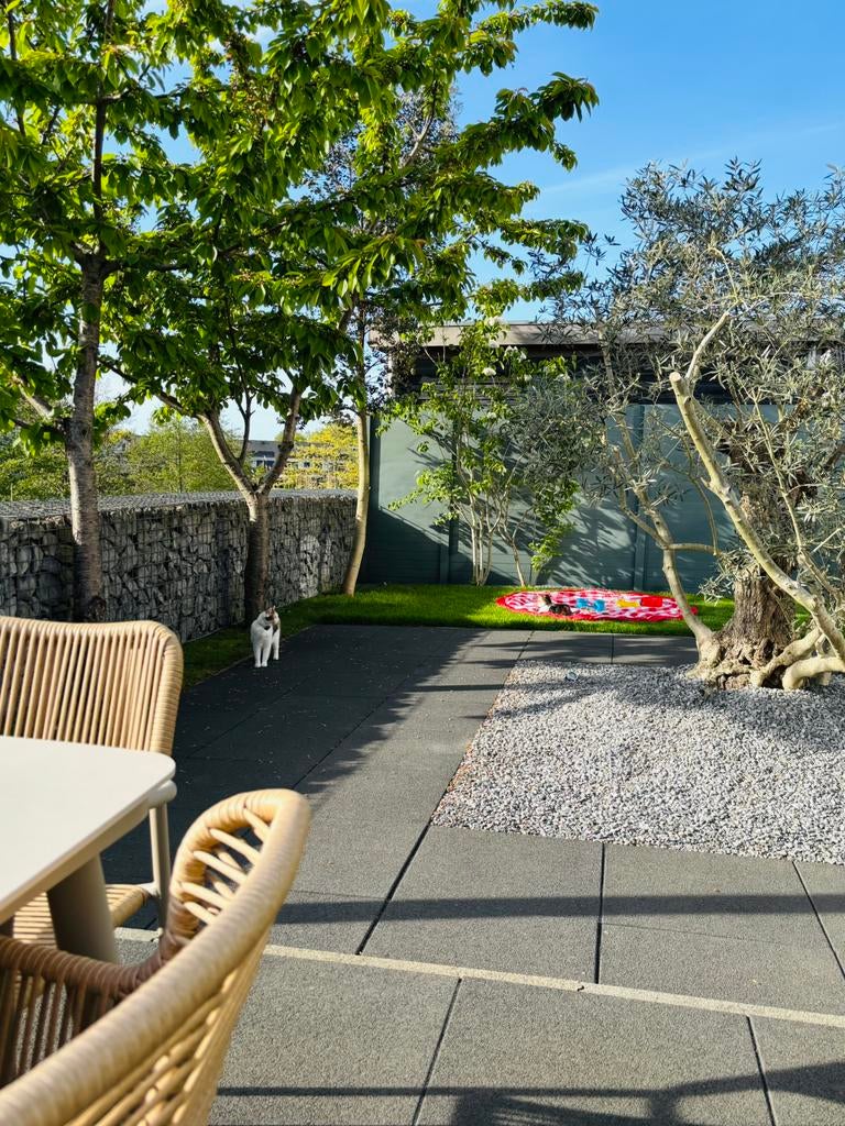 Betonnen tuintegels te koop 60cmx60cmx6cm, Tuin en Terras, Tegels en Klinkers, Ophalen, Zo goed als nieuw, 10 m² of meer, Beton