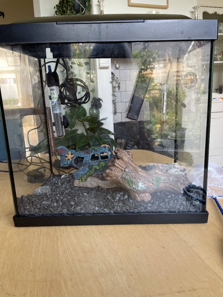 Super Fish aquarium start 30, Ophalen, Nieuw, Leeg aquarium, Superfish