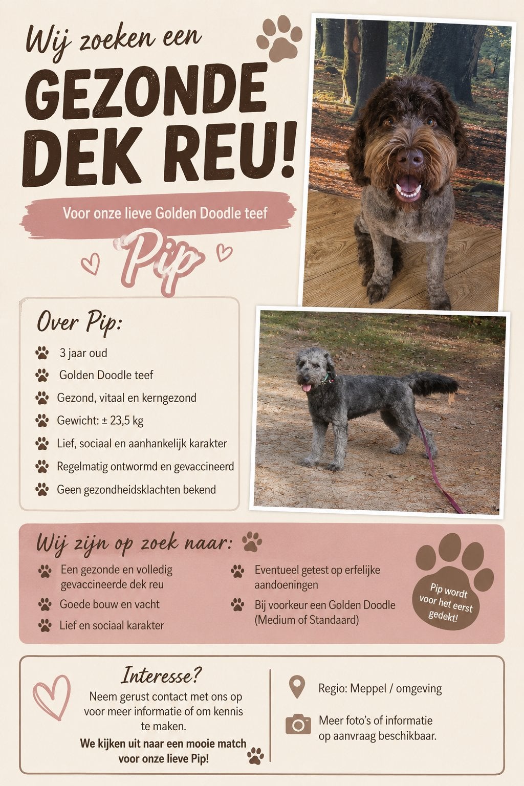 Dek reu gezocht., Reu, Parvo, Eén hond, 3 tot 5 jaar