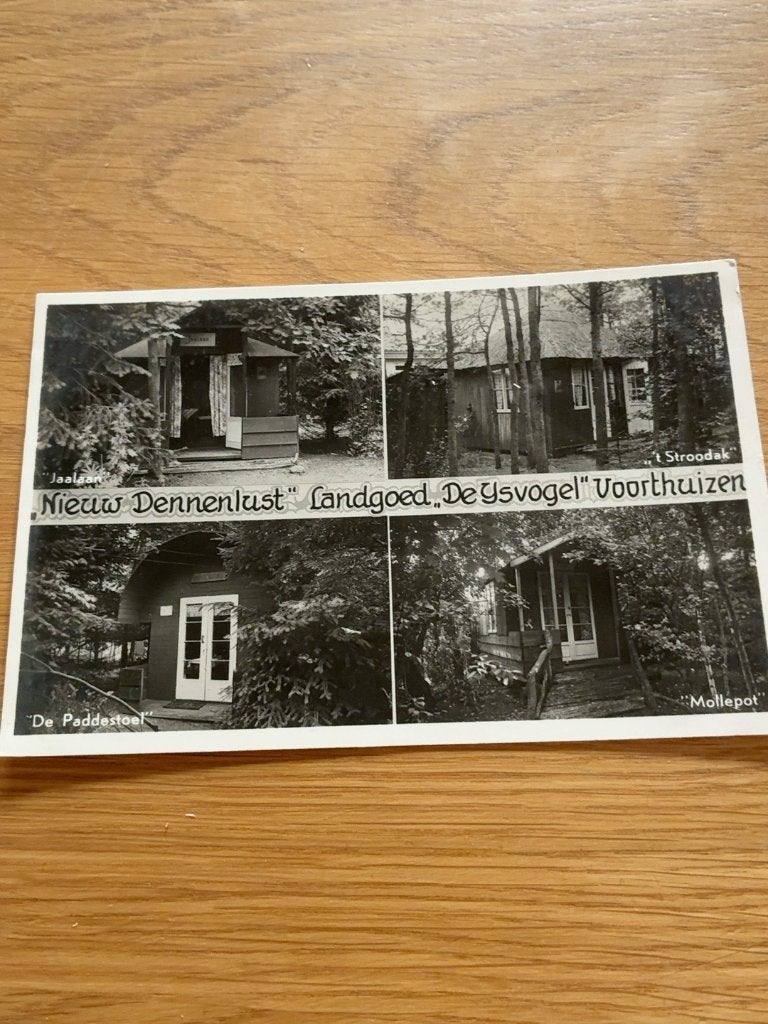 Voorthuizen Nieuw Dennenlust De IJsvogel oude ansicht, Verzenden, 1940 tot 1960, Gelopen, Noord-Brabant