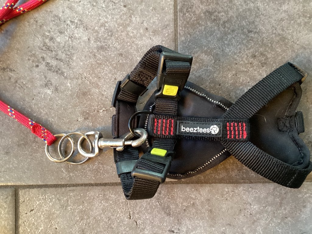 Honde tuigje, Ophalen of Verzenden, Nieuw