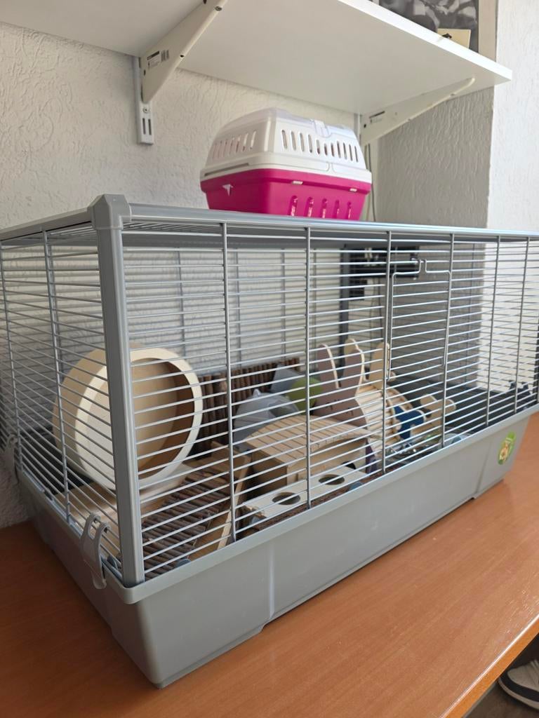 Hamsterkooi met toebehoren, Dieren en Toebehoren, Knaagdieren en Konijnen | Hokken en Kooien, Kooi, Minder dan 75 cm, Zo goed als nieuw