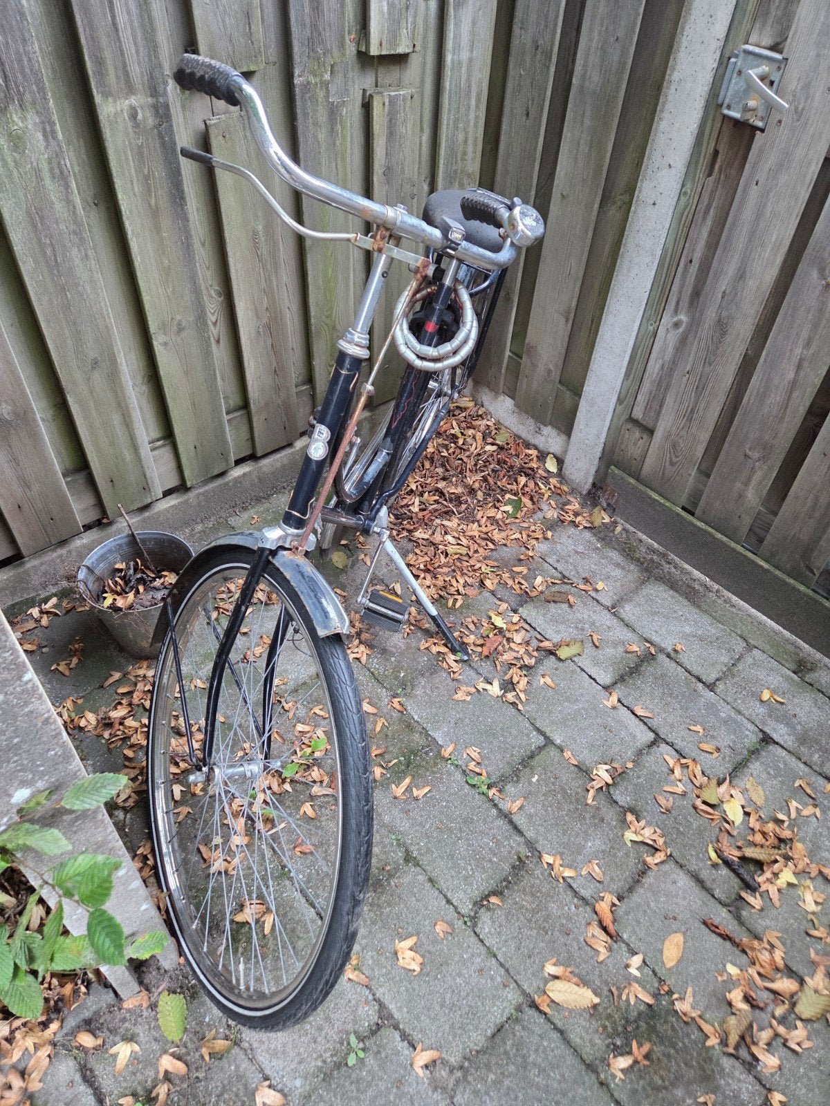Gebruikte damesfiets - Opknapper, Velgrem, Ophalen, Overige merken, 53 tot 56 cm