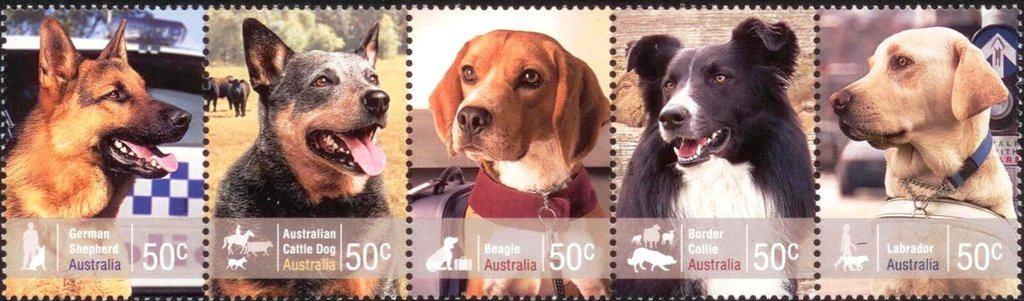 24-03 Australië MI 3014/8 strook postfris, Verzenden, Postfris