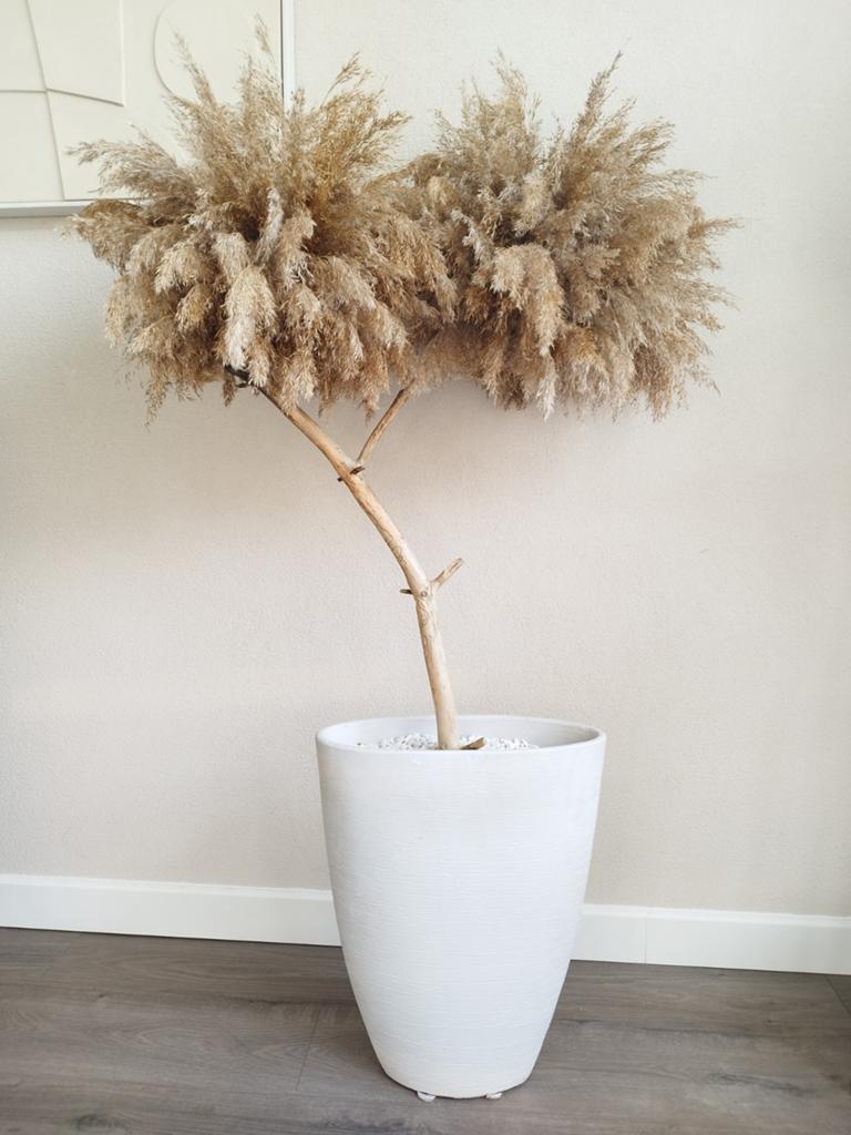 Pampasboom Pampas mini boom Japandi Hotel Chique 135cm, Ophalen, Binnen, Natuurlijk materiaal, Beige