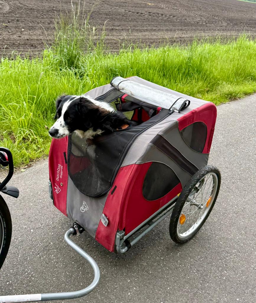 Dutchdog doggyride fietskar tot 40 kg, Ophalen, Zo goed als nieuw