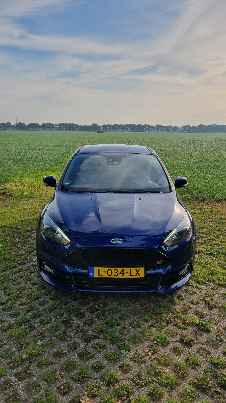 Ford Focus ST 2.0, zeer goed onderhouden, 15 km/l, Zwart, 4 cilinders, Blauw