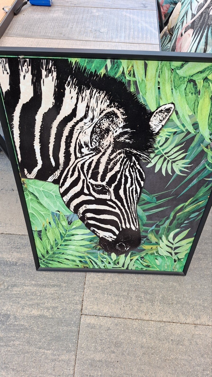 zebra schilderij  60x80 cm, Ophalen