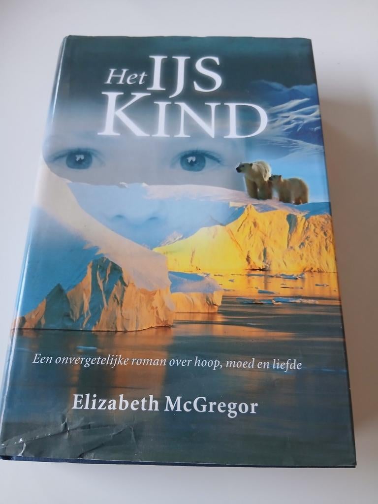 Het IJskind - Elizabeth McGregor (Roman), Boeken, Romans, Zo goed als nieuw, Europa overig, Ophalen of Verzenden