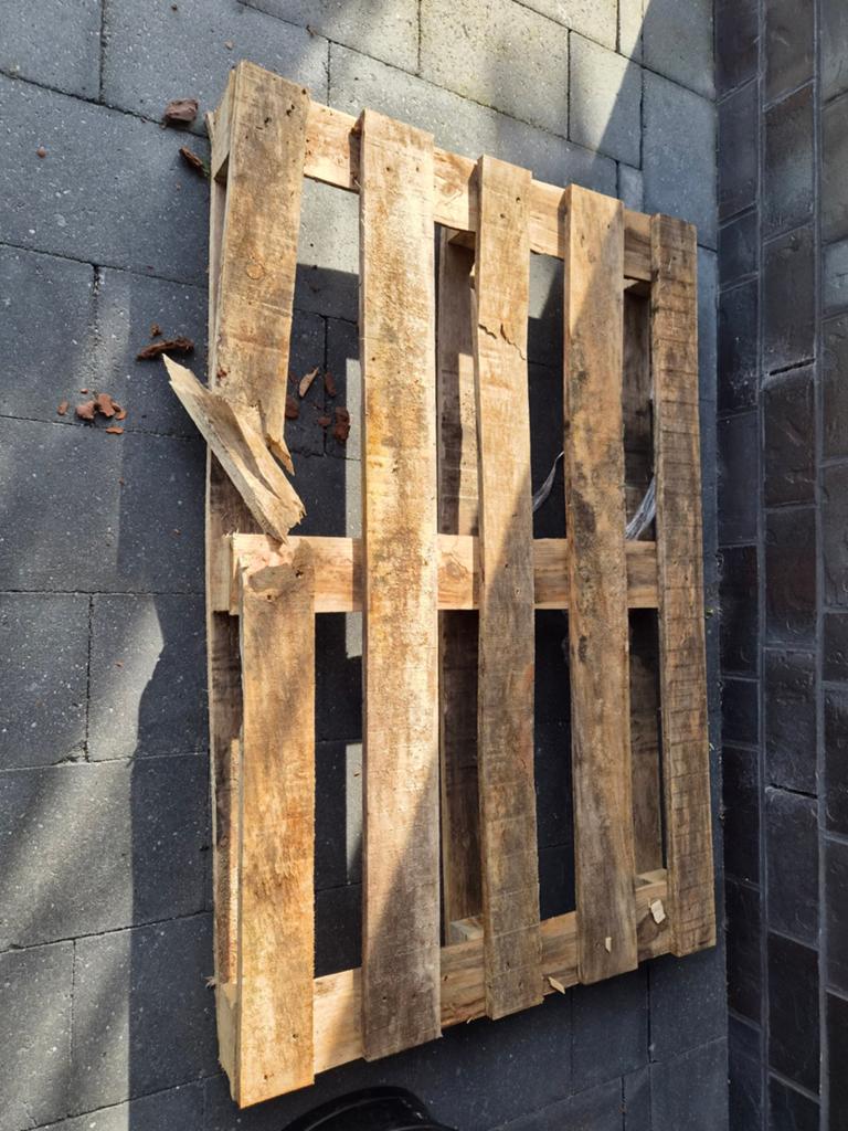 Gratis af te halen: pallet, Ophalen, Overige houtsoorten, Minder dan 200 cm, Pallet
