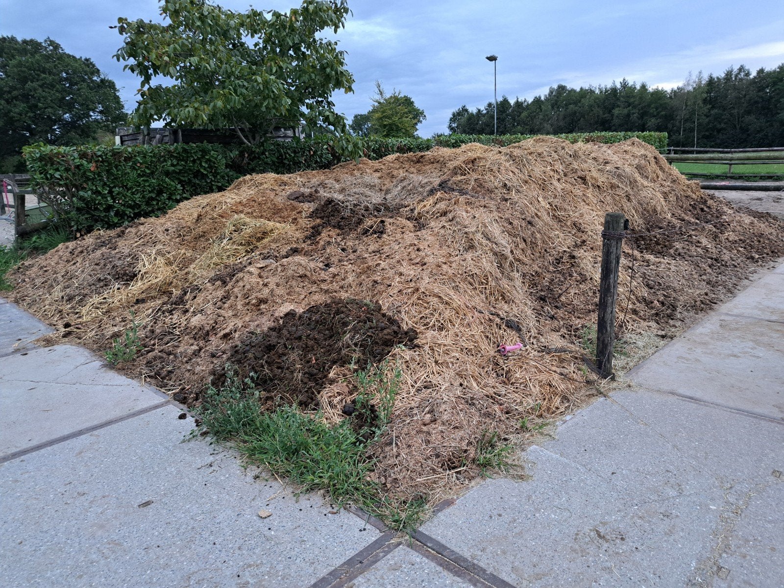 Gratis paardenmest af te halen, Ophalen