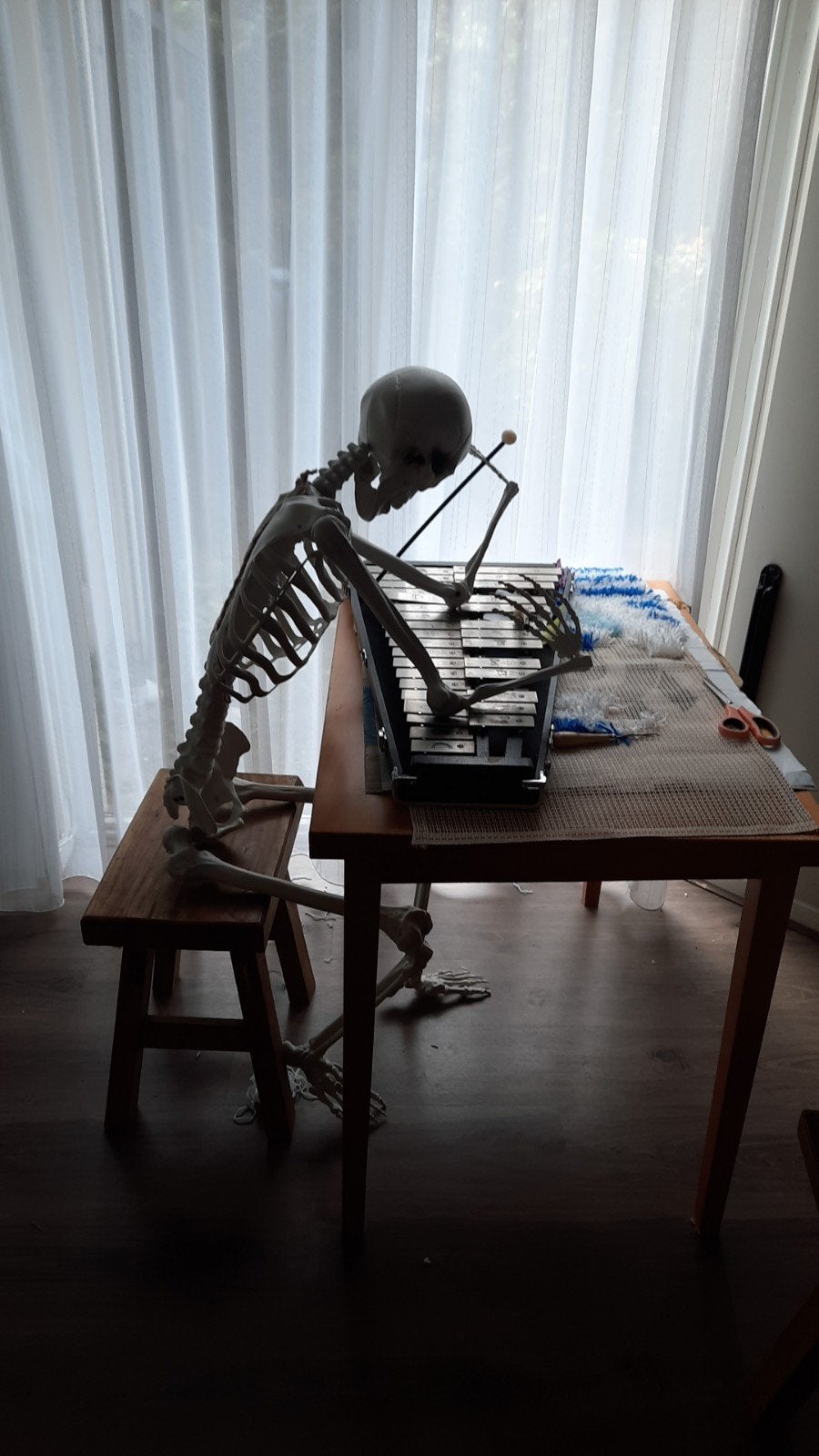 Te koop Skeleton Halloween skelet, Ophalen of Verzenden, Zo goed als nieuw, Halloween of Griezel