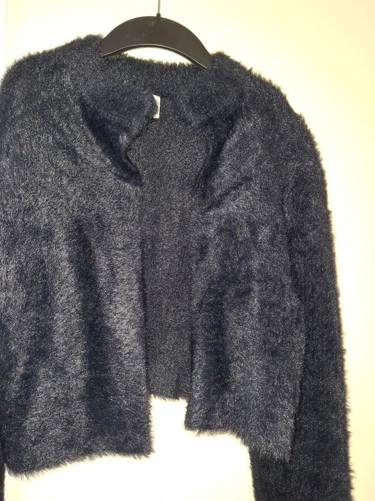 Zwarte pluizig jasje Zara Girls maat 164, Kinderen en Baby's, Kinderkleding | Maat 164, Gebruikt, Meisje, Ophalen of Verzenden