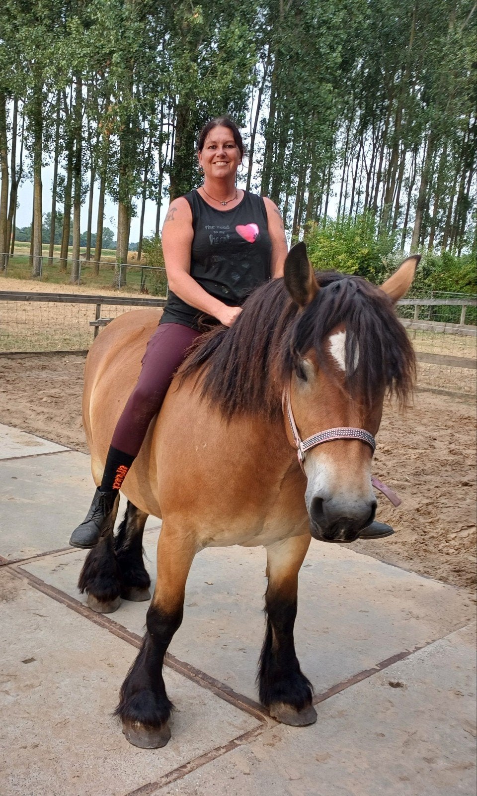 lieve knappe karakter volle ardenner trekpaatd merrie., Dieren en Toebehoren, Merrie