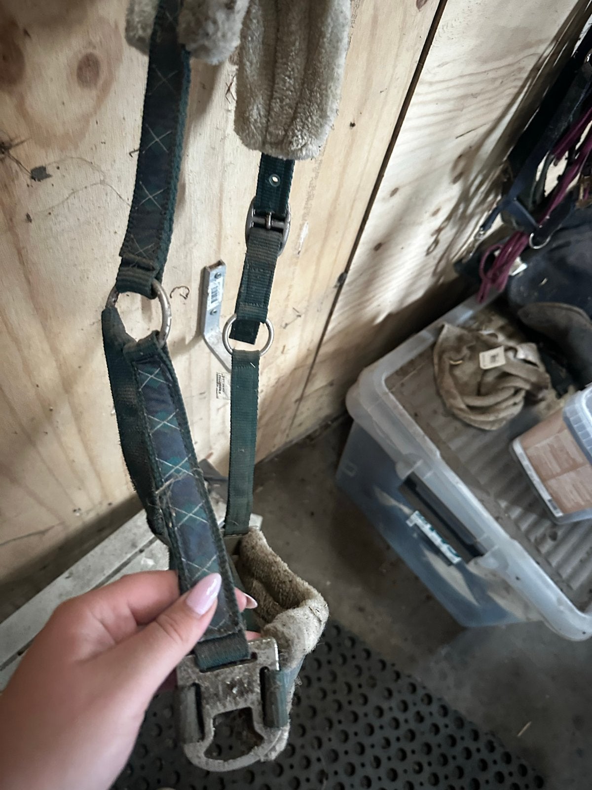 Halsters te koop, Ophalen of Verzenden, Gebruikt, Dressuur