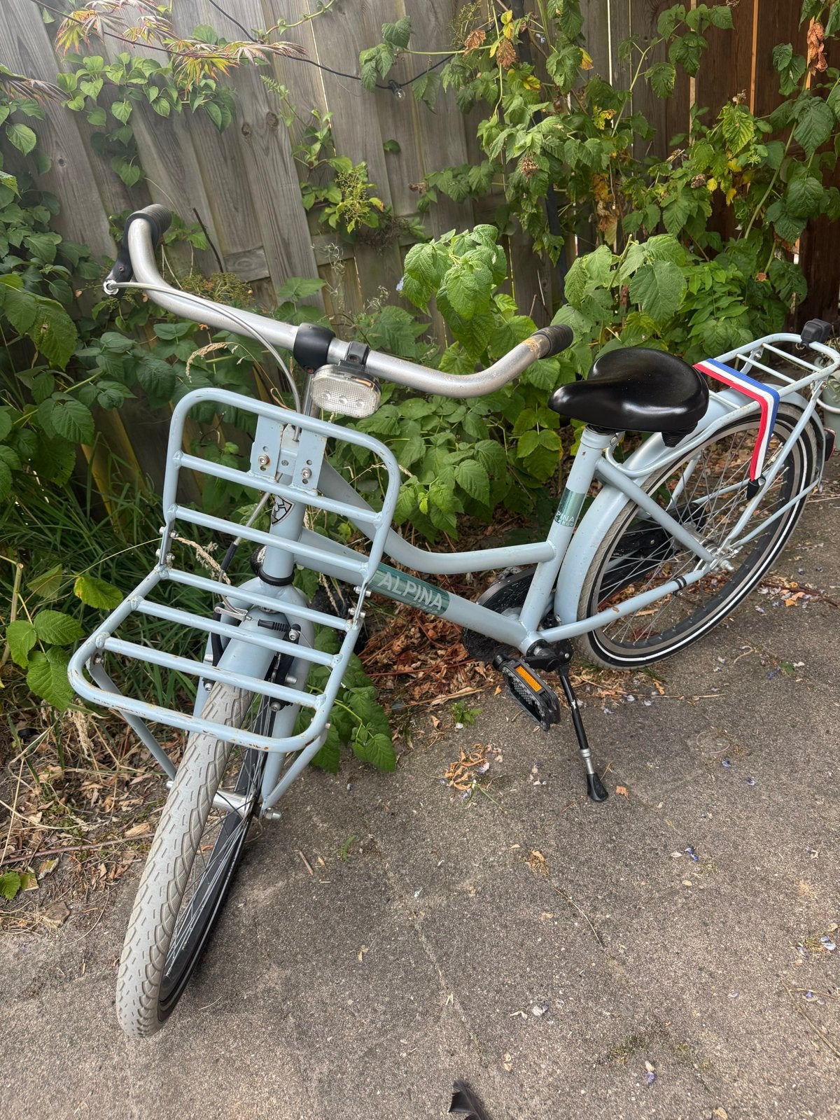 Alpina fiets met voordrager en terugtraprem, Fietsen en Brommers, Fietsen | Kinderfietsjes, Ophalen, Gebruikt, Terugtraprem, 20 inch of meer