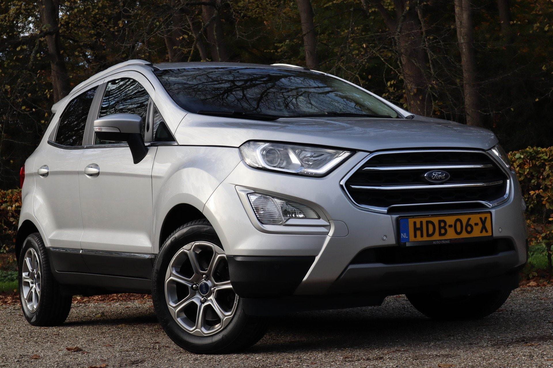 Ford EcoSport 1.0 EcoBoost Titanium | Automaat | Navi | Deal, 12 maanden, Gebruikt, Ecosport, Leder en Stof