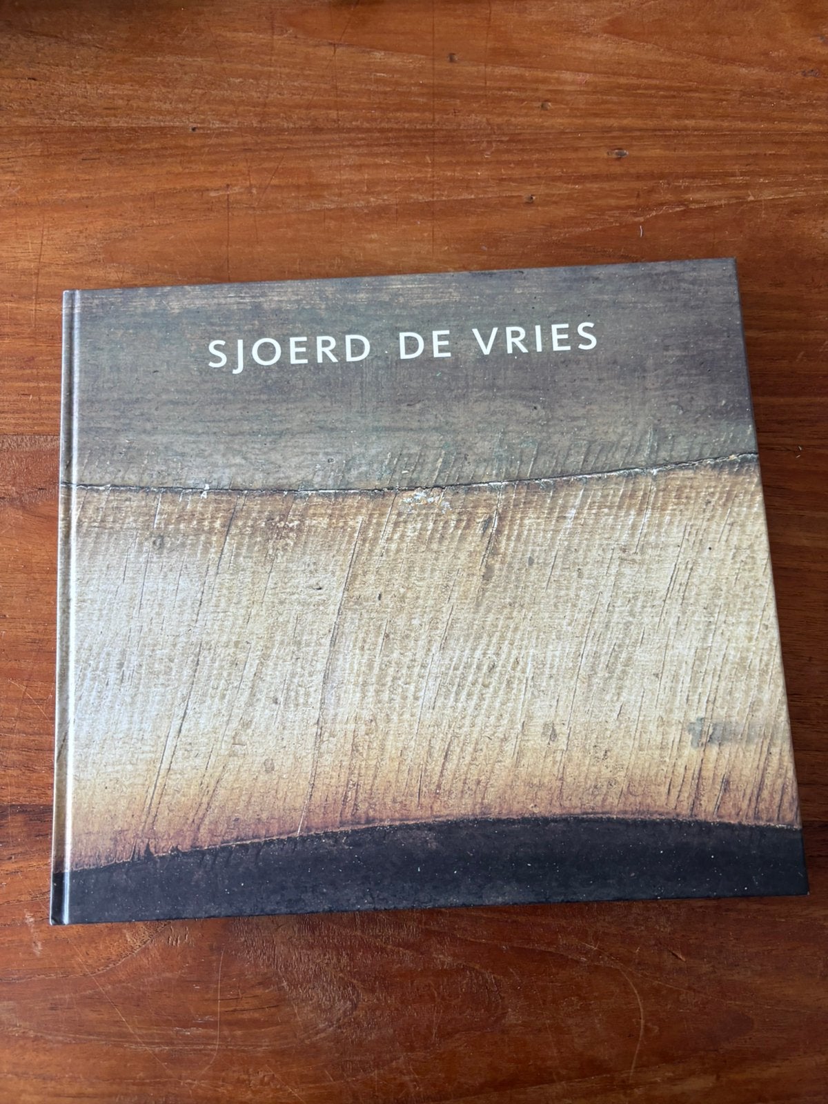 monografie Sjoerd de Vries, Ophalen of Verzenden, Zo goed als nieuw