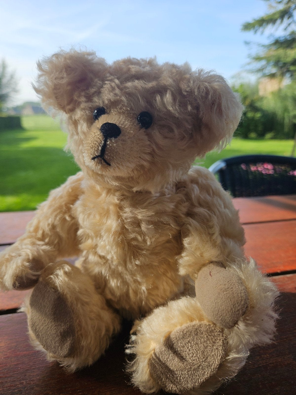 Odenthal Collette Teddy Collection Beertje - 22 cm, Overige merken, Beer, Ophalen of Verzenden, Middelgroot (20 tot 80 cm)