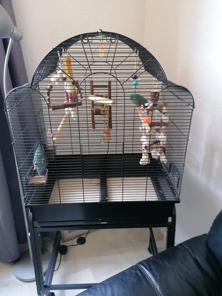 Montana memphis 2 Vogelkooi met verrijdbaar onderstel, Dieren en Toebehoren, Ophalen of Verzenden, Metaal, Vogelkooi