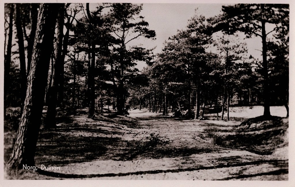 Norg – Duinen., Ophalen of Verzenden, 1940 tot 1960, Ongelopen, Drenthe
