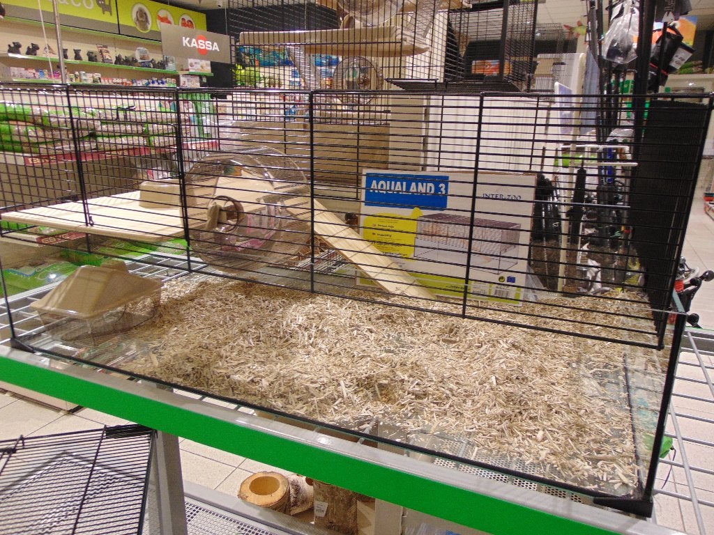 Hamsterkooien in Assen., Dieren en Toebehoren, Kooi, Hamster, Ophalen, Minder dan 60 cm