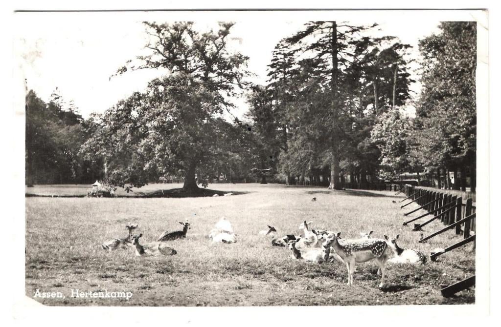 Assen (Dr.) Hertenkamp, Ophalen of Verzenden, 1940 tot 1960, Gelopen, Drenthe