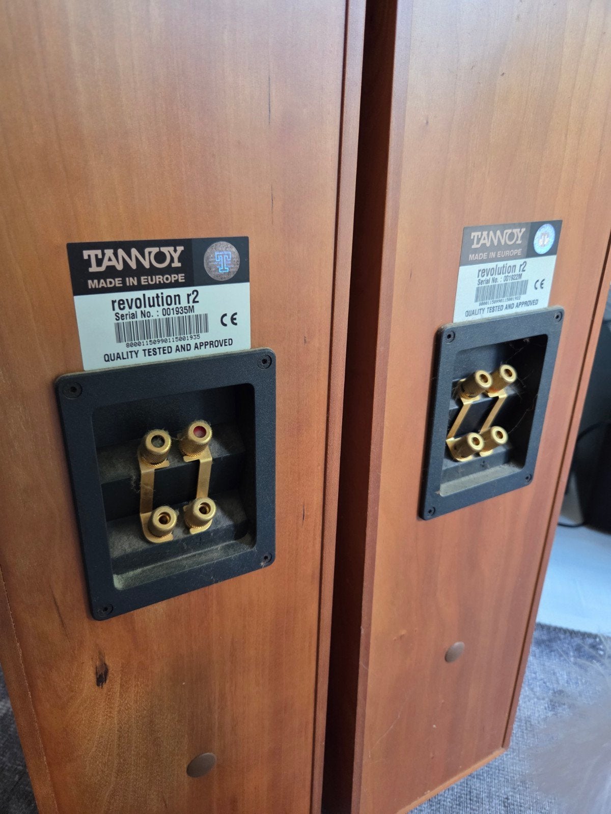 Tannoy Revolution R2, Audio, Tv en Foto, Luidsprekers, Ophalen, Gebruikt, Vloerstaande luidspreker, Overige merken