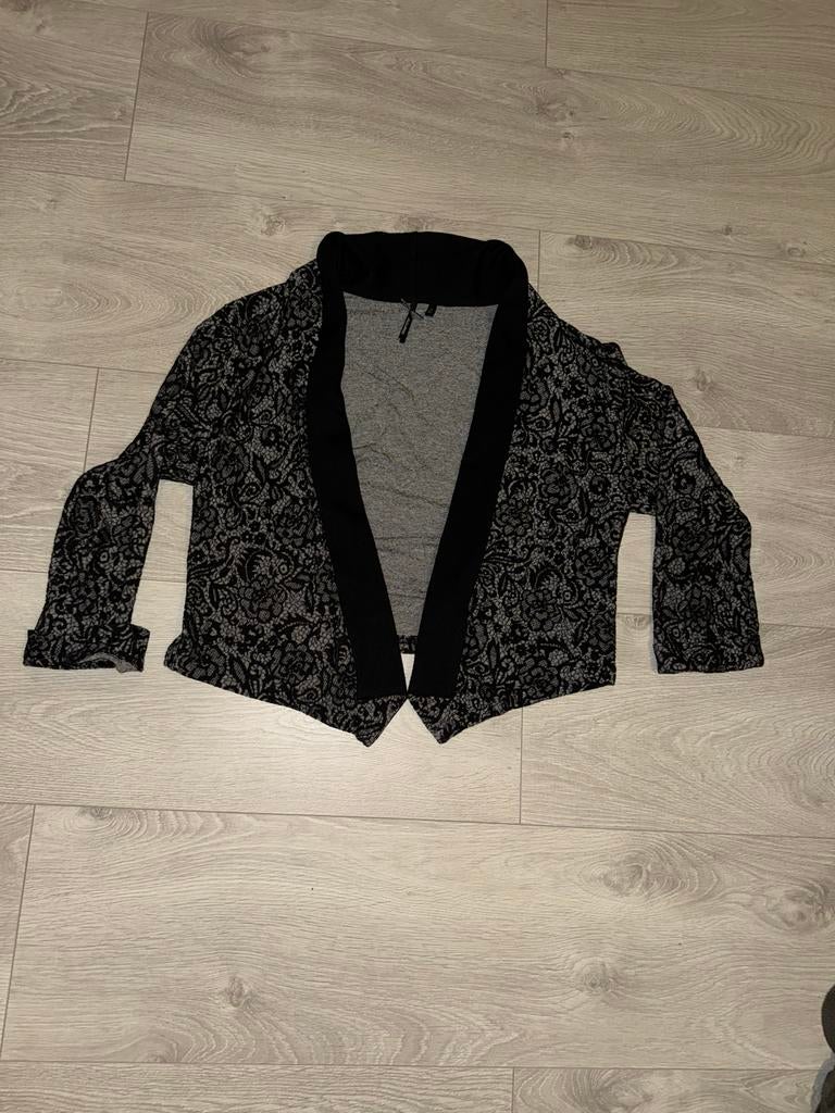 Dreamstar vest in maat XL- goede staat!, Ophalen of Verzenden, Zo goed als nieuw, Maat 46/48 (XL) of groter, Grijs