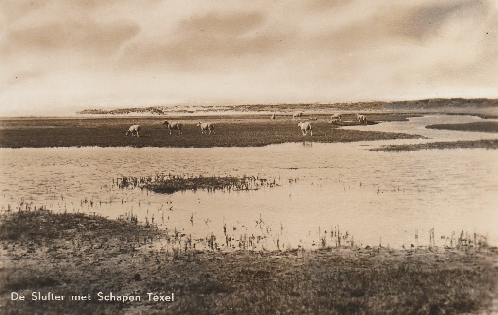 Texel, Ophalen of Verzenden, 1940 tot 1960, Ongelopen, Waddeneilanden