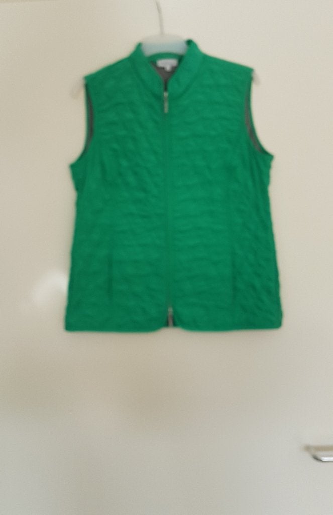 Body warmer dames maat 38 groen, Kleding | Dames, Bodywarmers, Ophalen of Verzenden, Zo goed als nieuw, Maat 38/40 (M), Groen