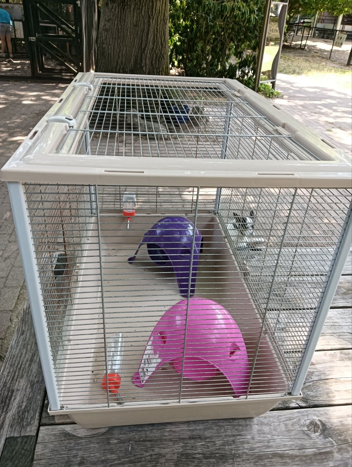 Hoge kooi B0,30 L0,46 H0,59, Dieren en Toebehoren, Kooi, Gebruikt, Minder dan 75 cm, Ophalen