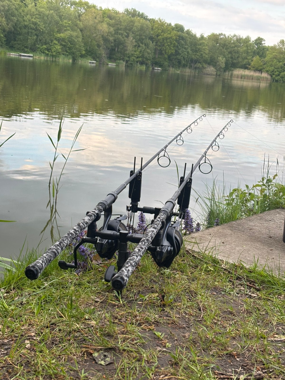 Karperset shimano fox nash NIEUW, Watersport en Boten, Hengelsport | Karpervissen, Ophalen of Verzenden, Zo goed als nieuw, Complete set