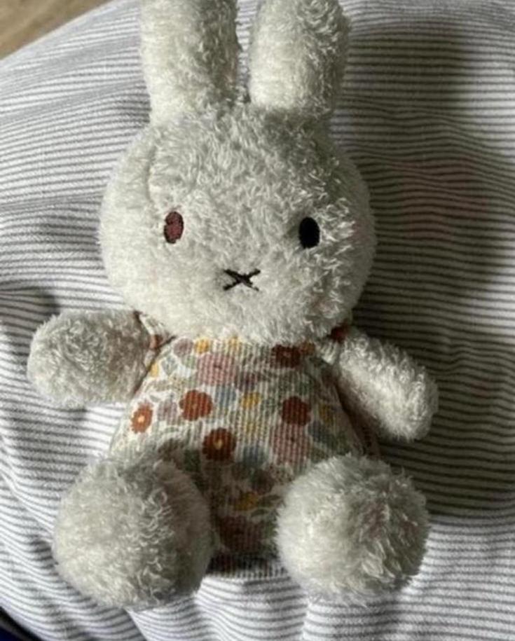 Nijntje knuffel, Ophalen, Zo goed als nieuw
