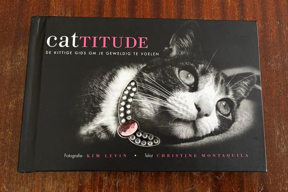 Cattitude: De Kittige Gids om Je Geweldig te Voelen - Katten, Ophalen of Verzenden, Zo goed als nieuw, Katten