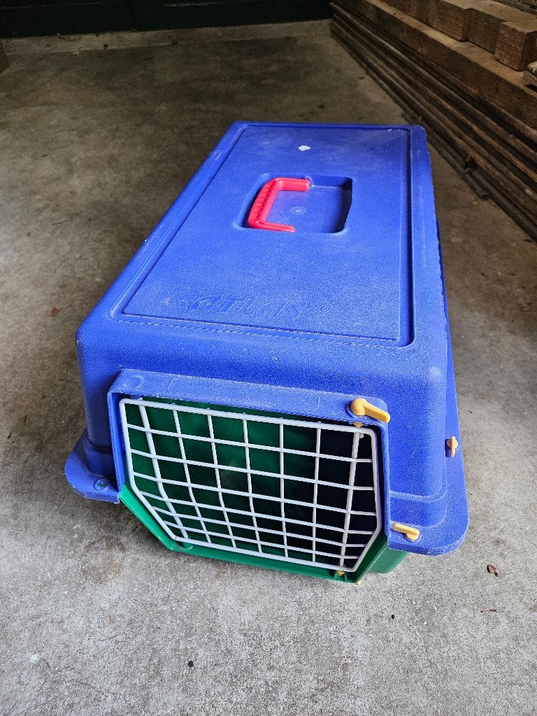 katten  vervoerbox, Ophalen of Verzenden, Gebruikt