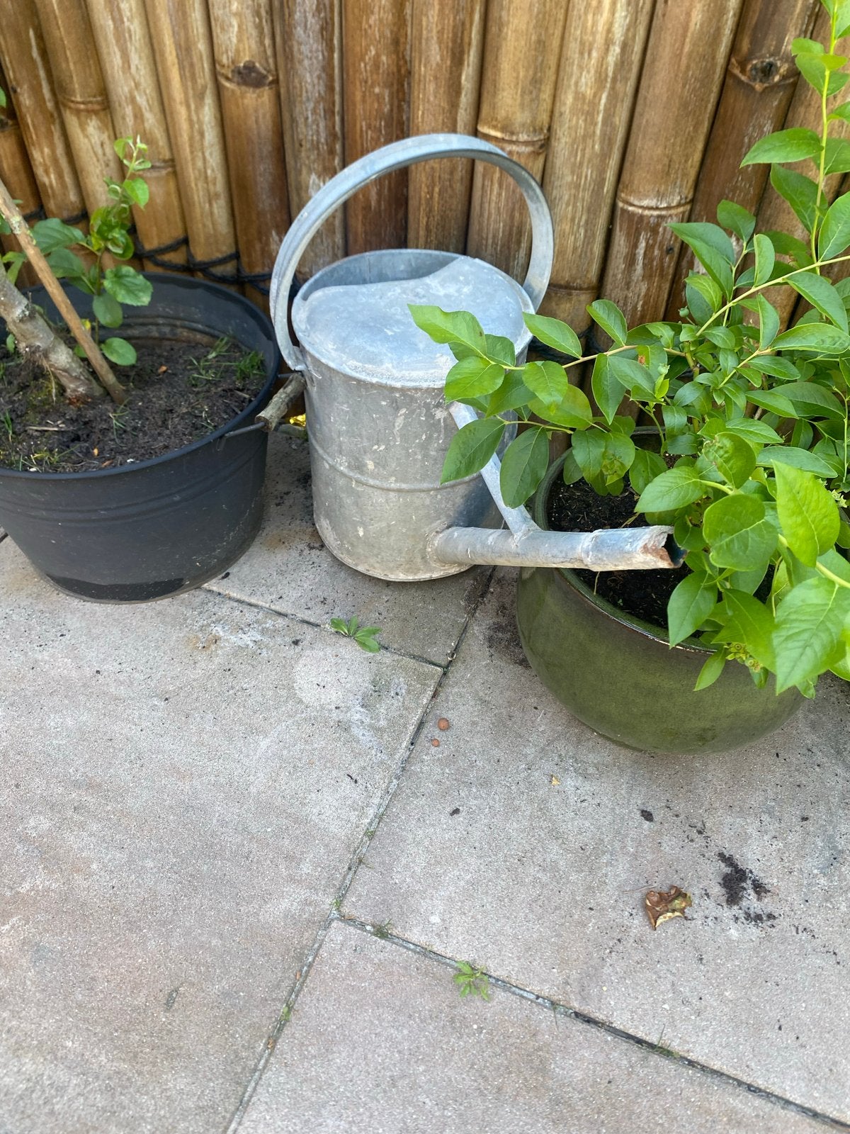 Decoratieve gietijzeren plantengieter - 33 cm hoog, Ophalen of Verzenden, Gebruikt, IJzer