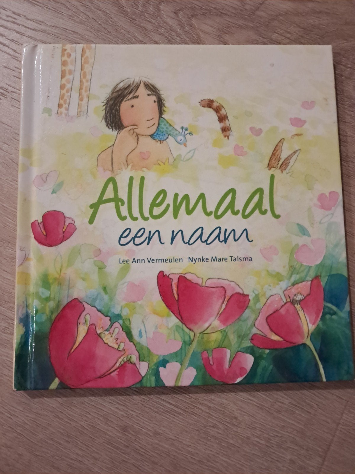 V3 AlLeMaAl een naam - Lee Ann Vermeulen Nynke Mare Talsma, Ophalen of Verzenden, Zo goed als nieuw, Lee Ann Vermeulen, Nynke Mare Talsma