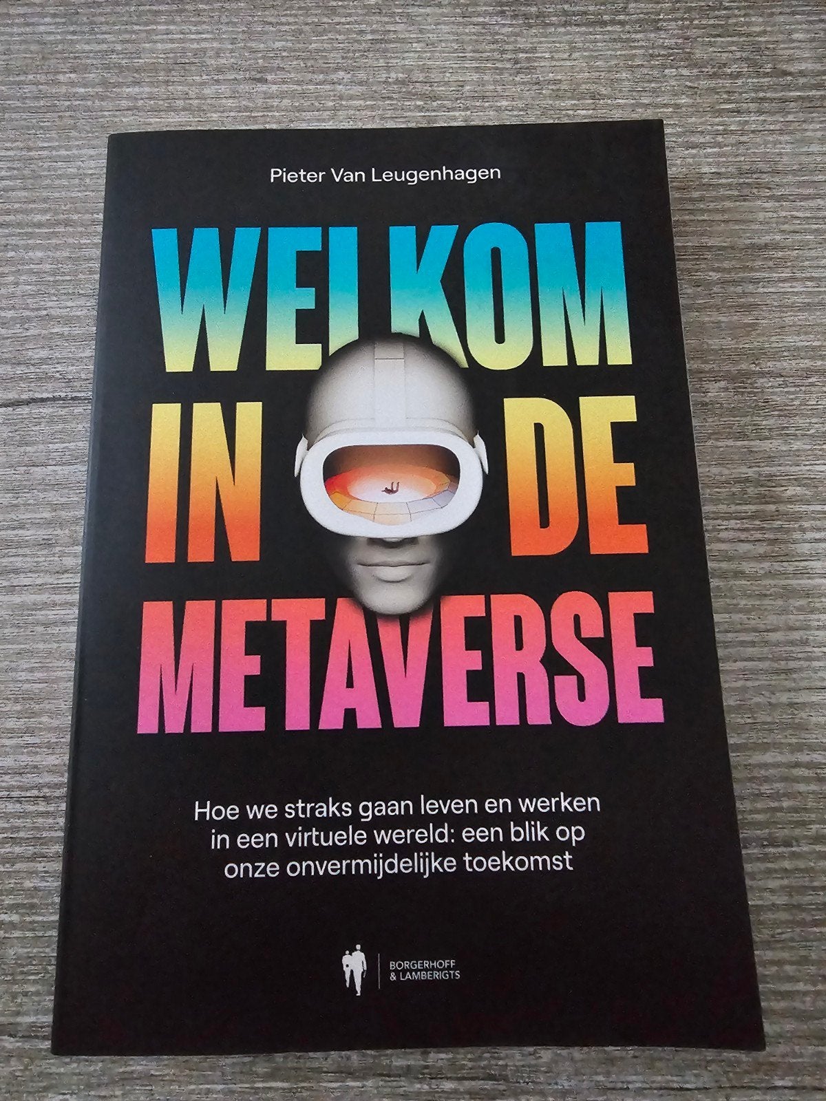 Welkom in de Metaverse - Pieter Van Leugenhagen, Ophalen of Verzenden, Gelezen, Pieter Van Leugenhagen