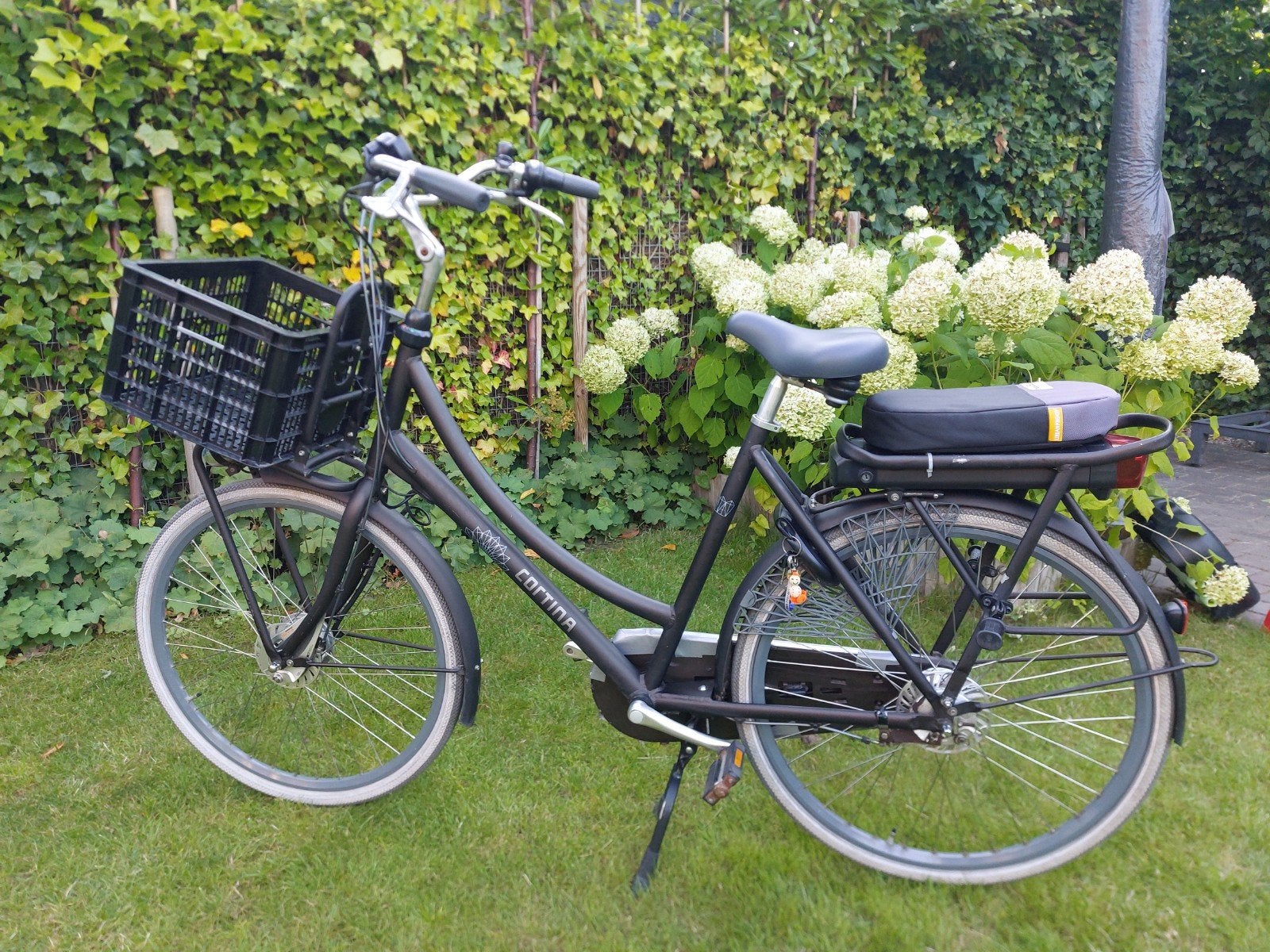 Elektrische Moederfiets - Cortina E-Roots mat espresso bruin, Ophalen, Gebruikt, Cortina, 50 km per accu of meer
