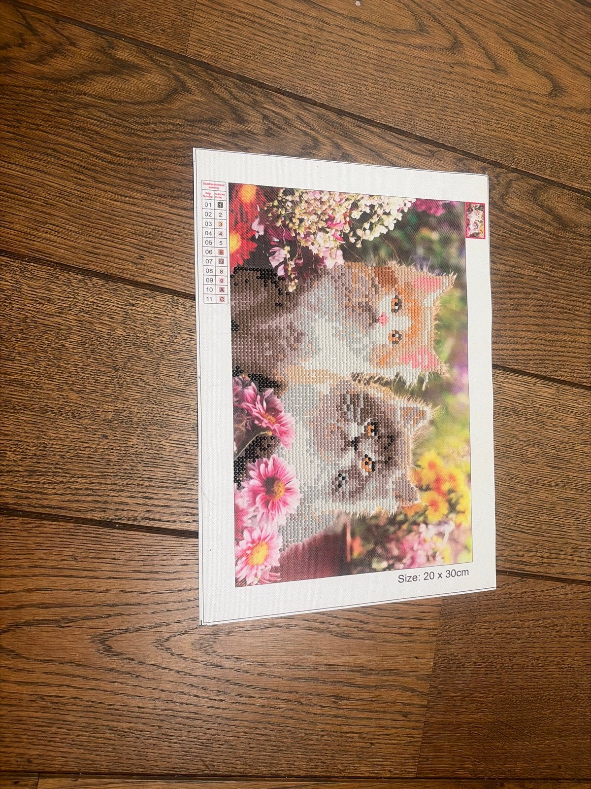 Diamond Painting Katten en Bloemen (20x30 cm), Nieuw, Meerkleurig, Ophalen of Verzenden, Kunststof