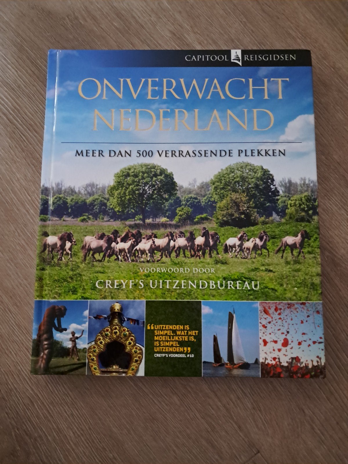 Y: Onverwacht Nederland - Capitool Reisgidsen, Boeken, Capitool, Creyf's Uitzendbureau (voorwoord), Ophalen of Verzenden, Zo goed als nieuw
