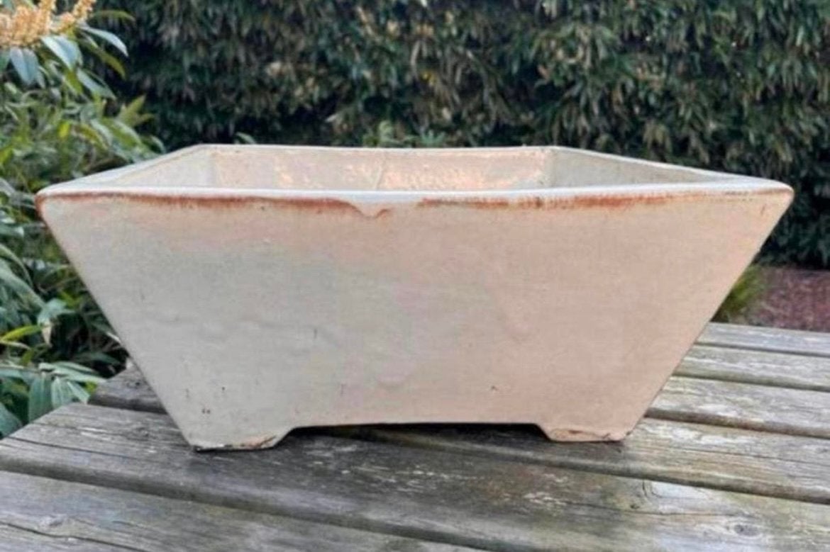 Bonsai schaal XL crème geglazuurd aardewerk 45,54519, Tuin en Terras, Bloempotten, Ophalen, Gebruikt, Vierkant, Aardewerk